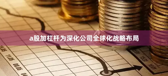 a股加杠杆为深化公司全球化战略布局